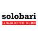 Solobari rivendica fieramente di essere stato il pioniere dell�informazione non ufficiale a tinte biancorosse, tanto da definirsi a tutt�oggi �il sito dei tifosi dei Bari�. Online da luglio 2002, nacque come un forum per dare voce ai tifosi